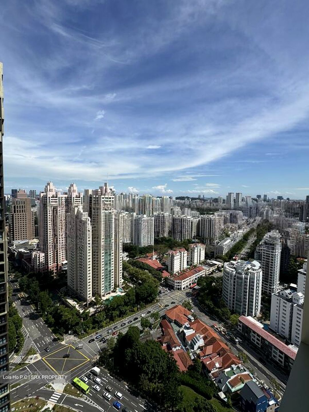 Irwell Hill Residences (D9), Apartment #451088421